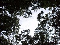 photos 2000-200902512